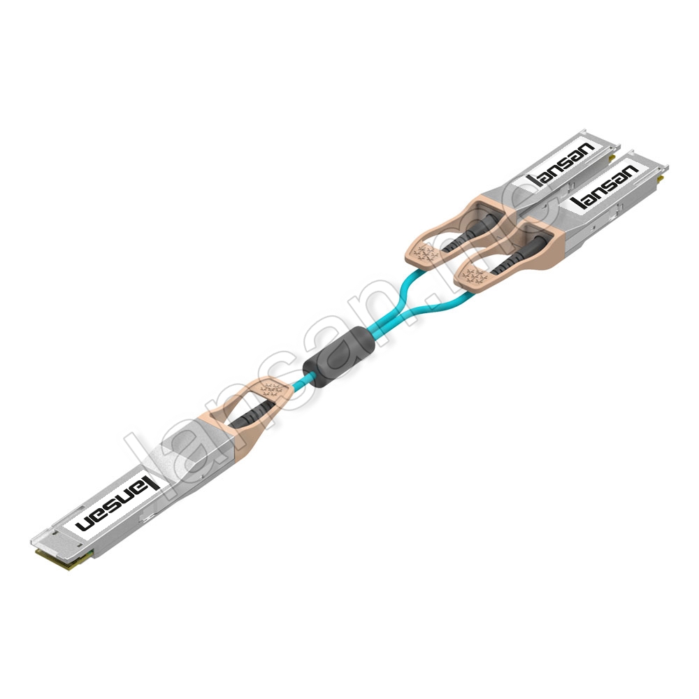 200G QSFP-DD to 2x 100G QSFP28 Breakout AOC Cable