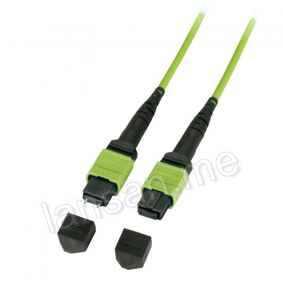 MTP-MPO Patchcord (F-M) 12F OM5 5 Meter